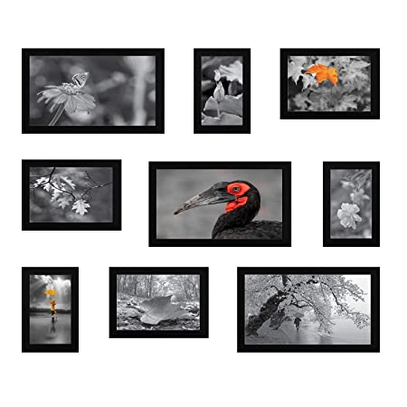 Amazon Brand - Solimo Collage Photo Frames