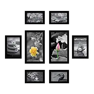 Amazon Brand - Solimo Collage Set of 8 Black Photo Frames