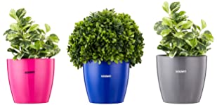 Amazon Brand - Solimo Round Planter