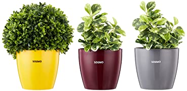 Amazon Brand - Solimo Round Planter