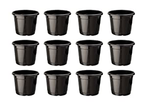 Go Hooked 12pcs Plastic Plants Nursery Seedlings Pot Plant Container