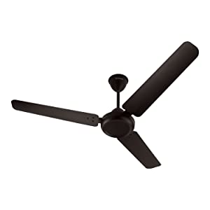 Hindware Snowcrest Brisa Metallic 1200mm Designer 3 Blade Ceiling Fan