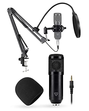 RAEGR Condenser Microphone