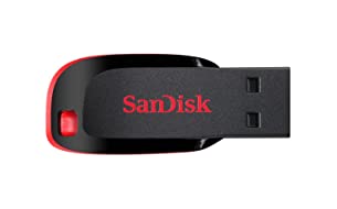SanDisk Cruzer Blade 64GB